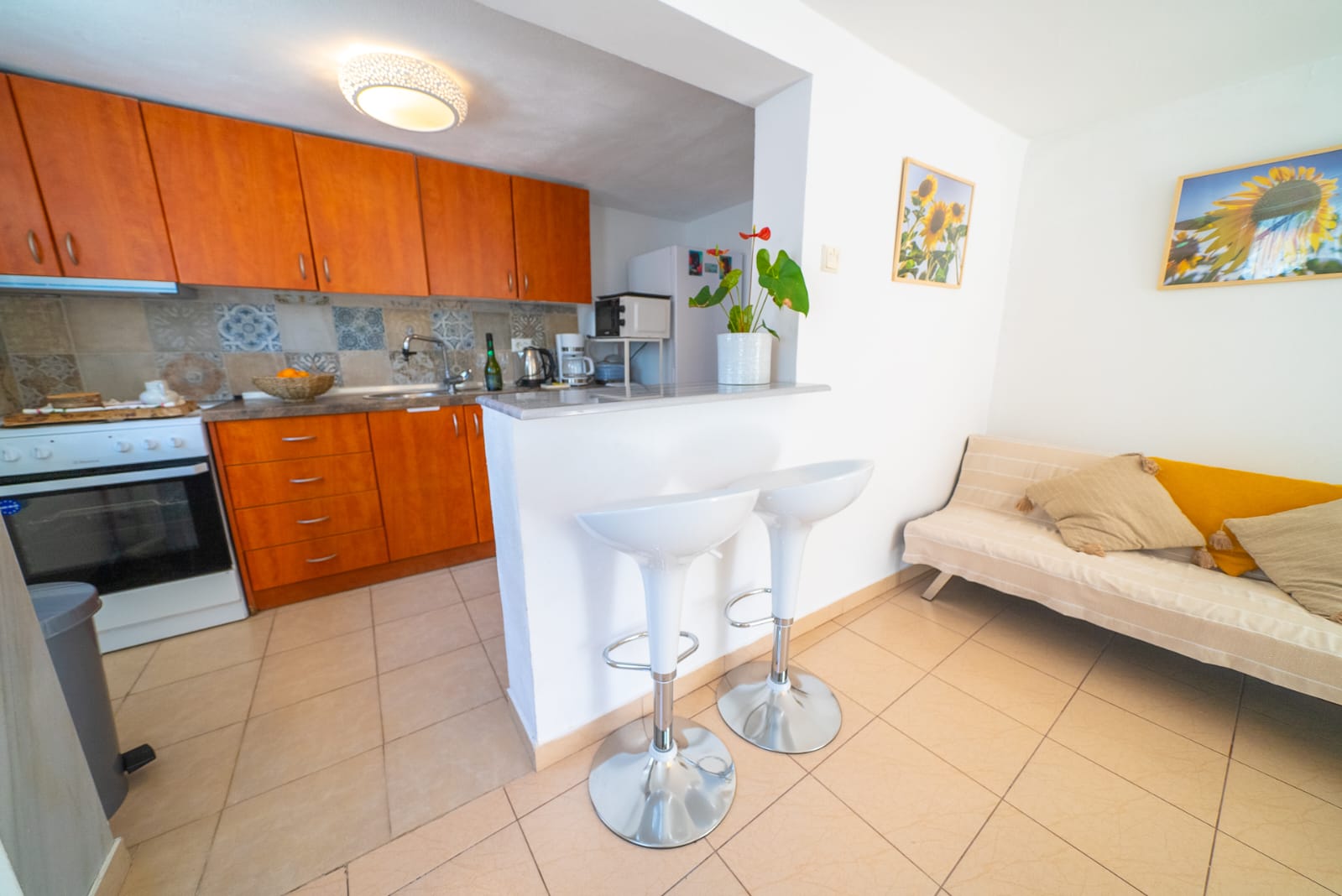 WhatsApp Image 2026-01-16 19.17.45