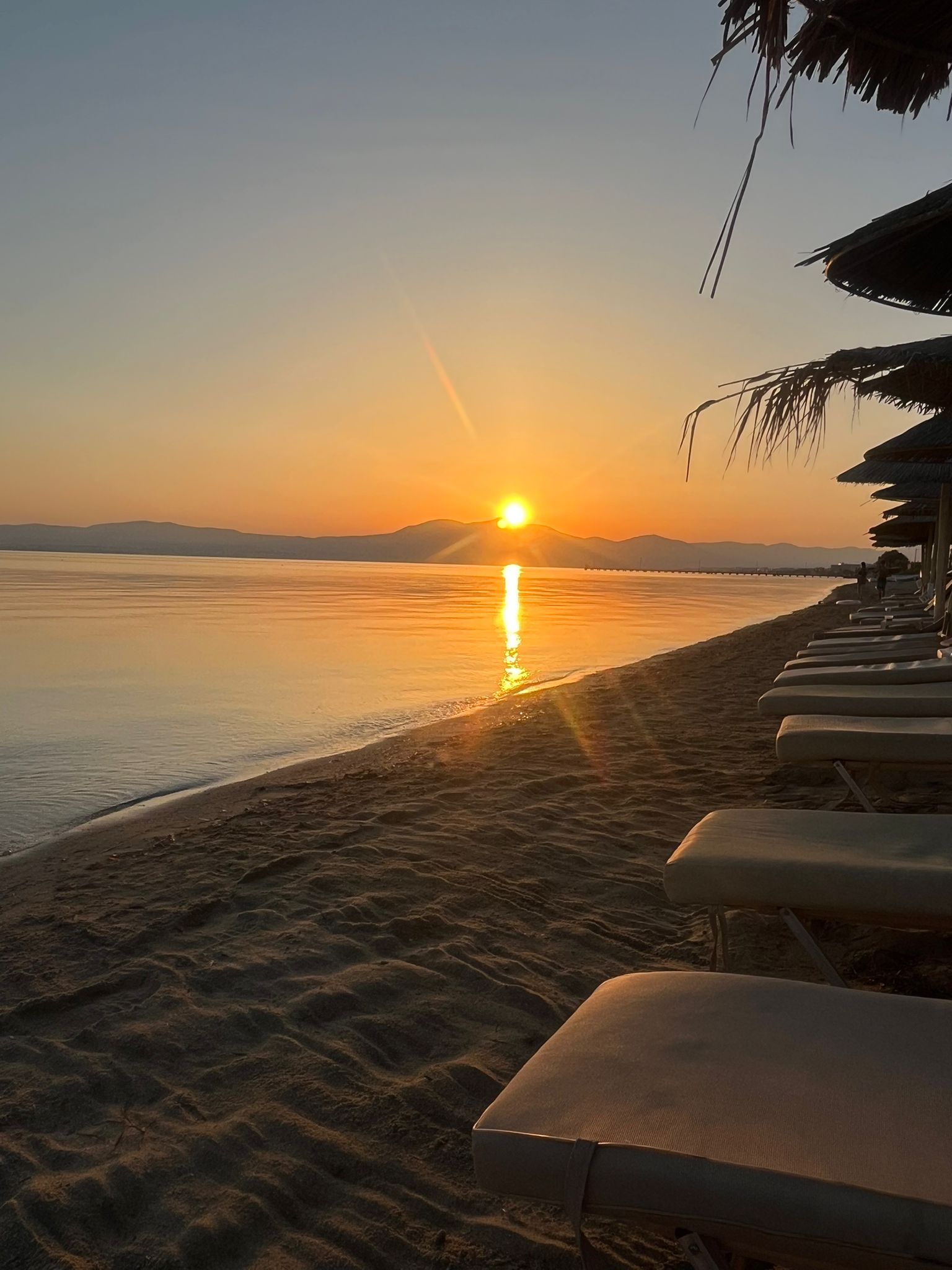 WhatsApp Image 2026-01-16 at 22.1