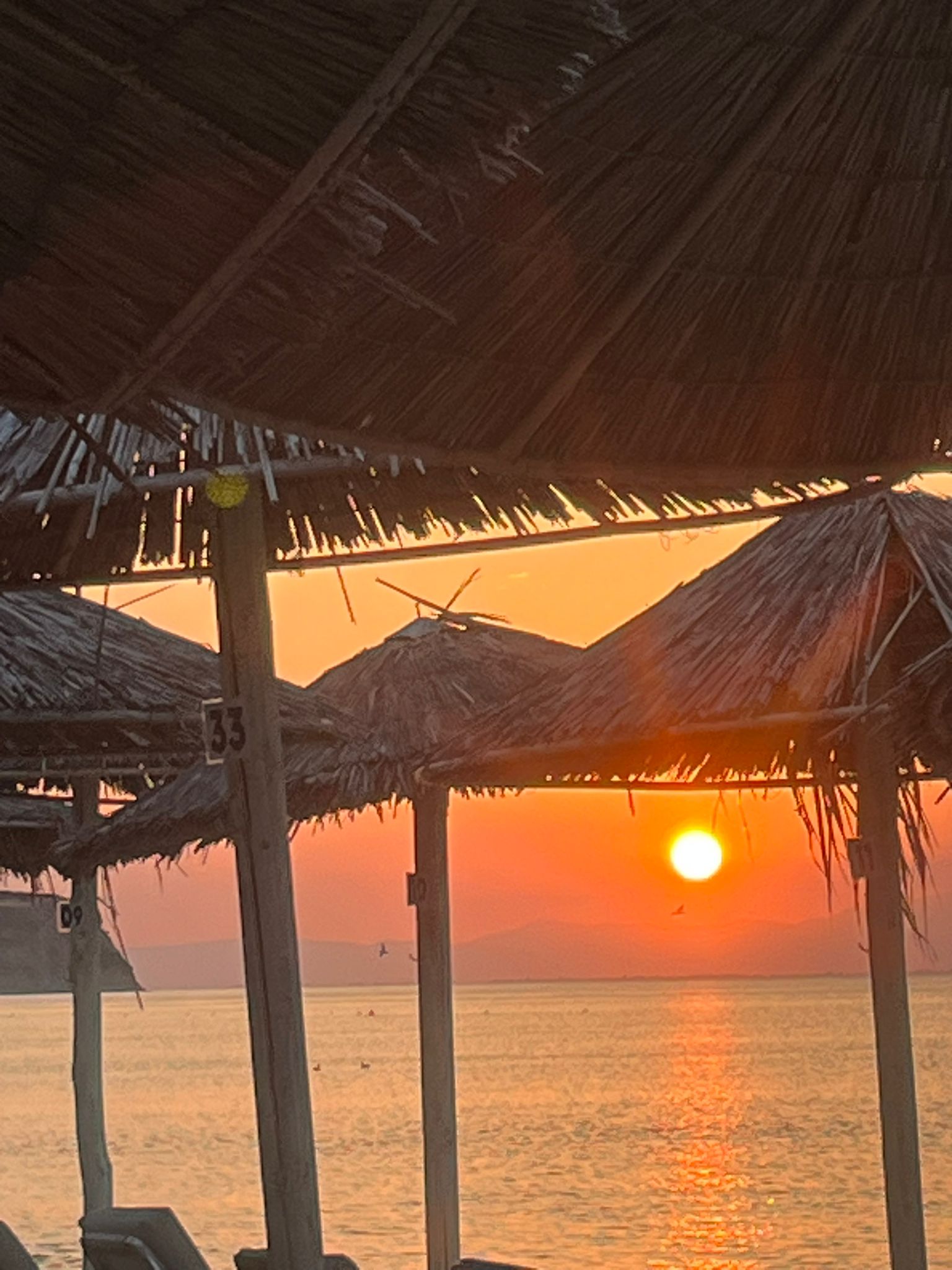 WhatsApp Image 2026-01-16 at 22.16.