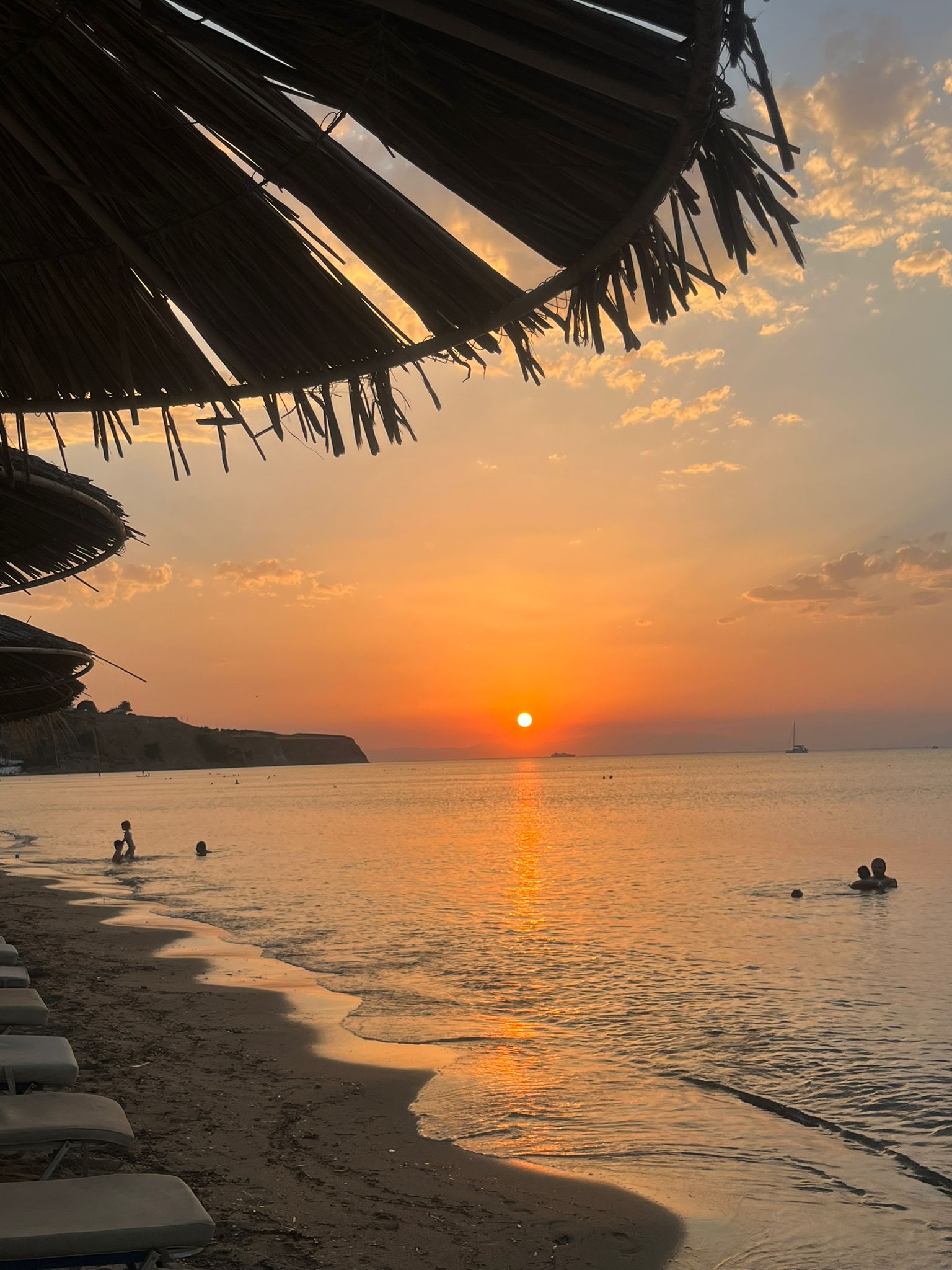 WhatsApp Image 2026-01-16 at 22.16.26