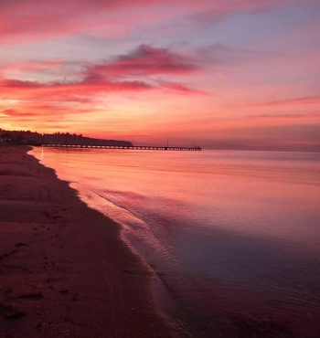 WhatsApp Image 2025-12-10 at 12.52.17_31b79ee3