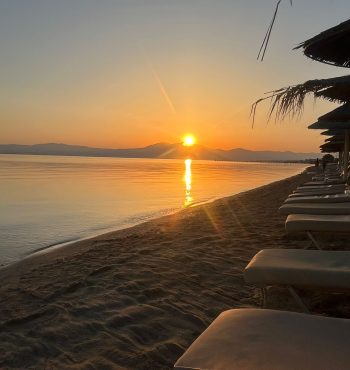 WhatsApp Image 2026-01-16 at 22.1