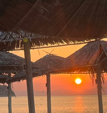 WhatsApp Image 2026-01-16 at 22.16.