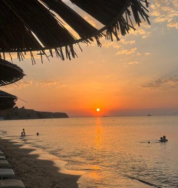 WhatsApp Image 2026-01-16 at 22.16.26